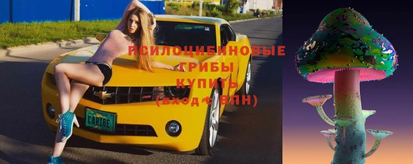 мяу мяу мука Кодинск