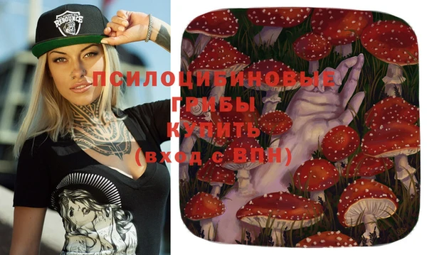 тгк Козловка