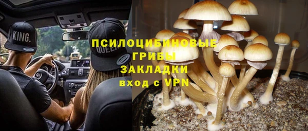 мяу мяу мука Кодинск